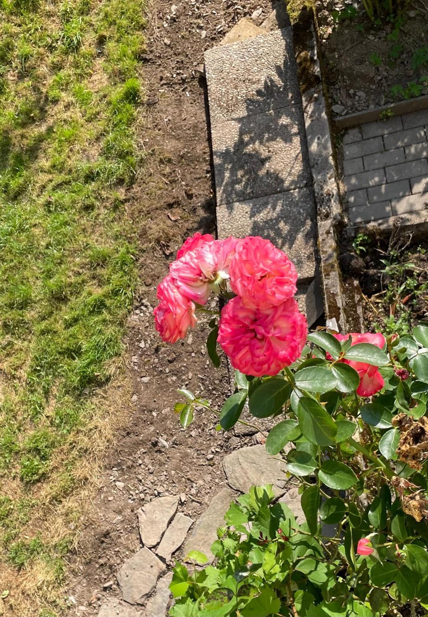 קלוטן Deni'S Ferienwohnungen מראה חיצוני תמונה